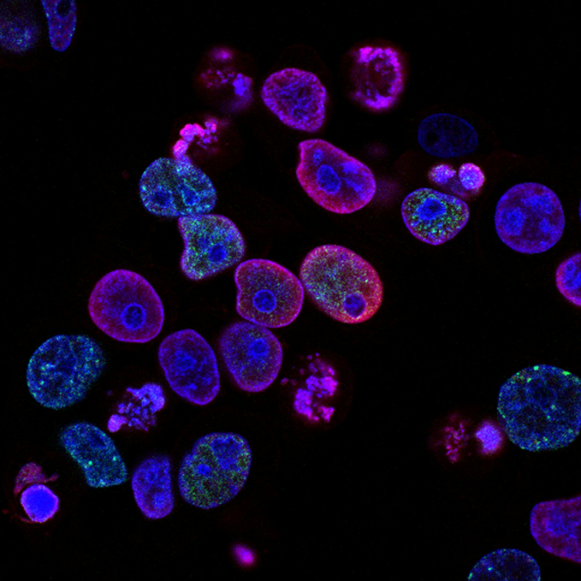 Computational biology platform visualization