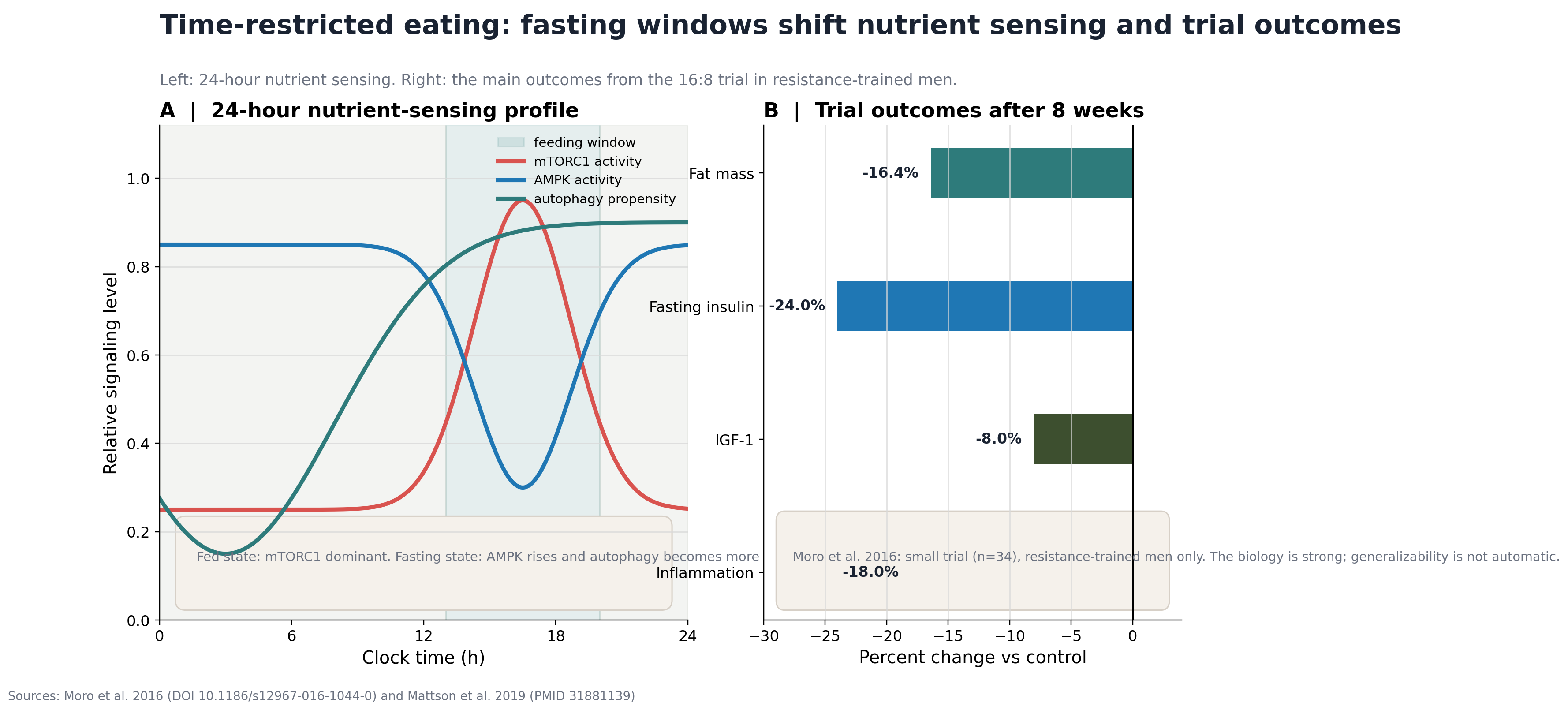 24-hour nutrient sensing profile and trial outcome bars for time-restricted eating